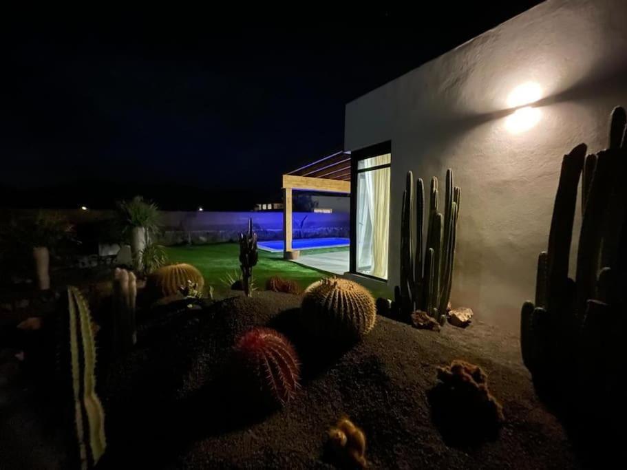 Bungalow + Piscina Independiente La Oliva Eksteriør bilde