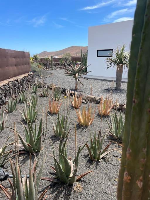 Bungalow + Piscina Independiente La Oliva Eksteriør bilde