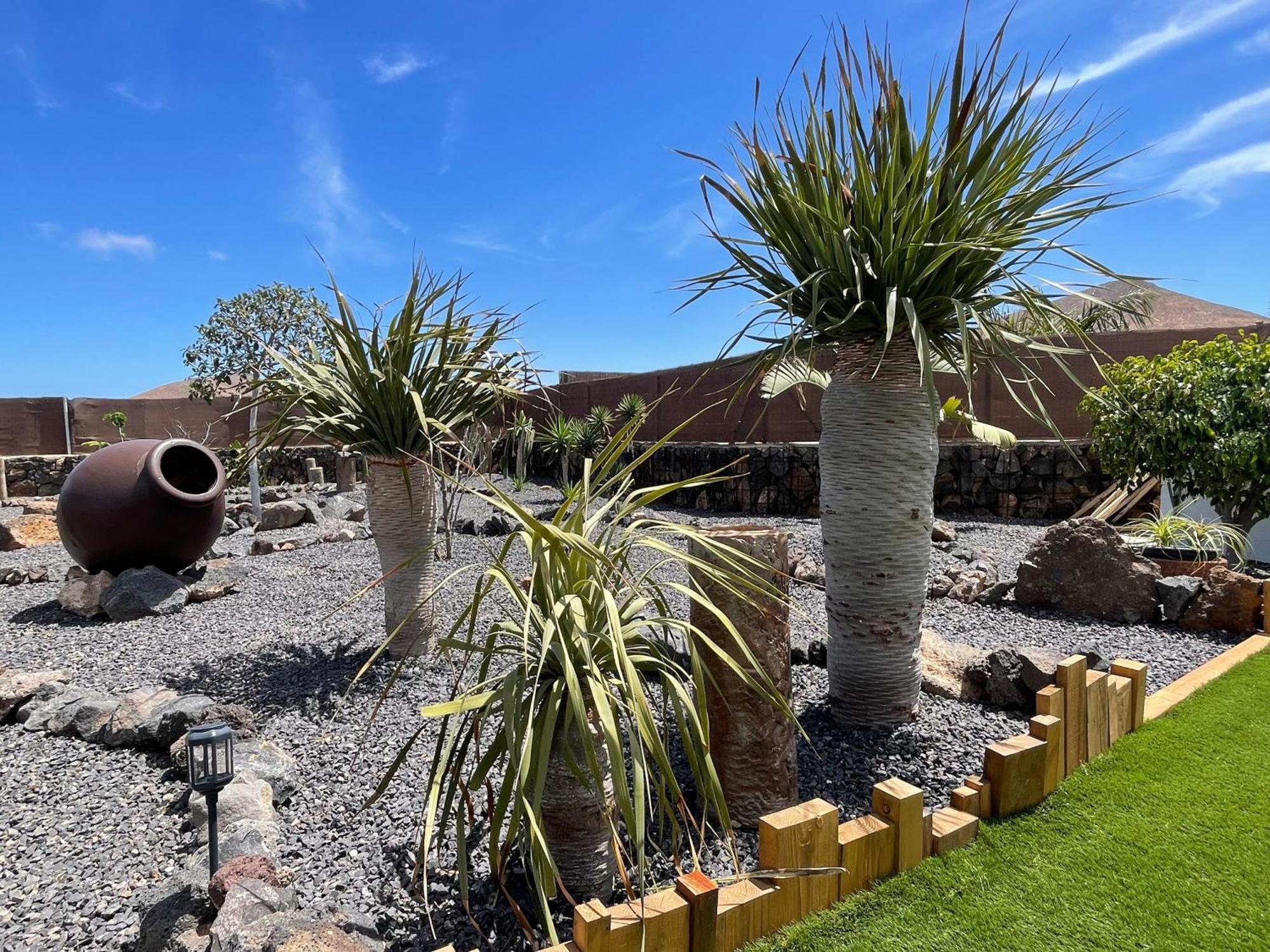 Bungalow + Piscina Independiente La Oliva Eksteriør bilde